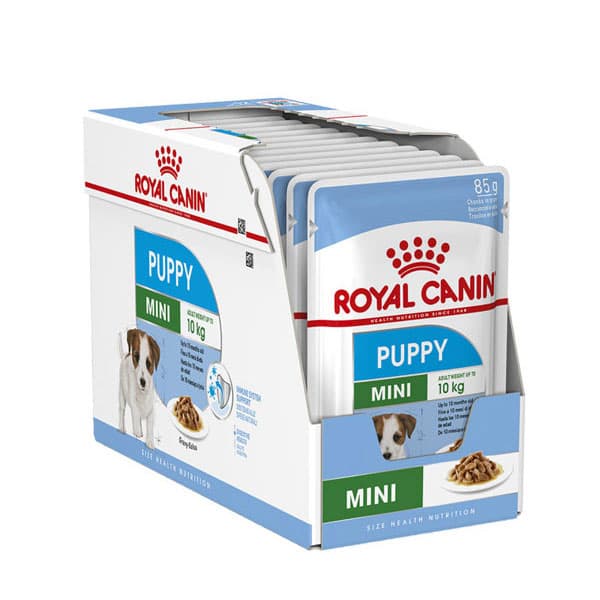 پوچ توله سگ نژاد کوچک رویال کنین Mini puppy