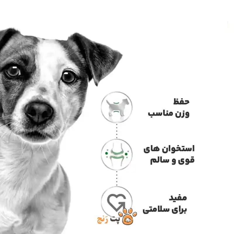 غذای خشک سگ مینی ادالت رویال کنین MINI ADULT — تصویر ۴