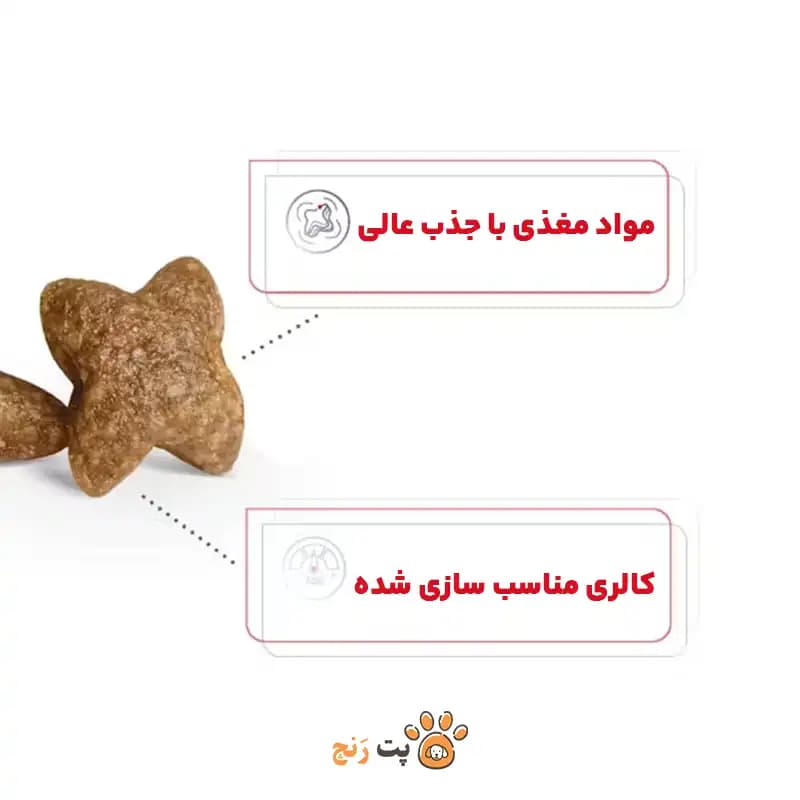 غذای خشک سگ مینی ادالت رویال کنین MINI ADULT — تصویر ۷