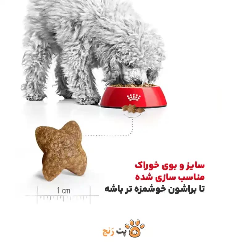غذای خشک سگ مینی ادالت رویال کنین MINI ADULT — تصویر ۶