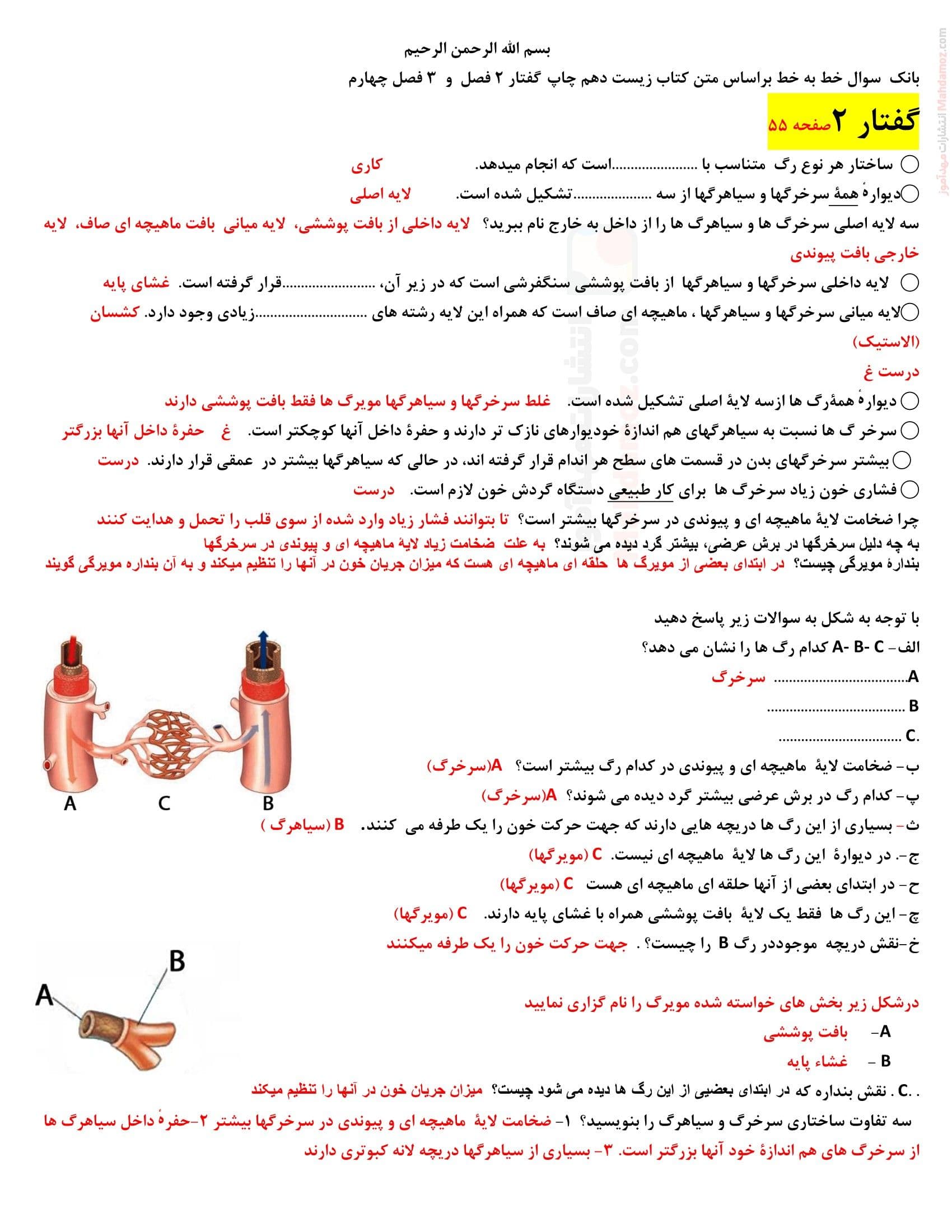 فعالیت و سوالات تمرینی فصل 4 گفتار 2 و 3 زیست ویژه دهم متوسطه