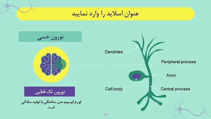 قالب پاورپوینت نورولوژی — تصویر ۶