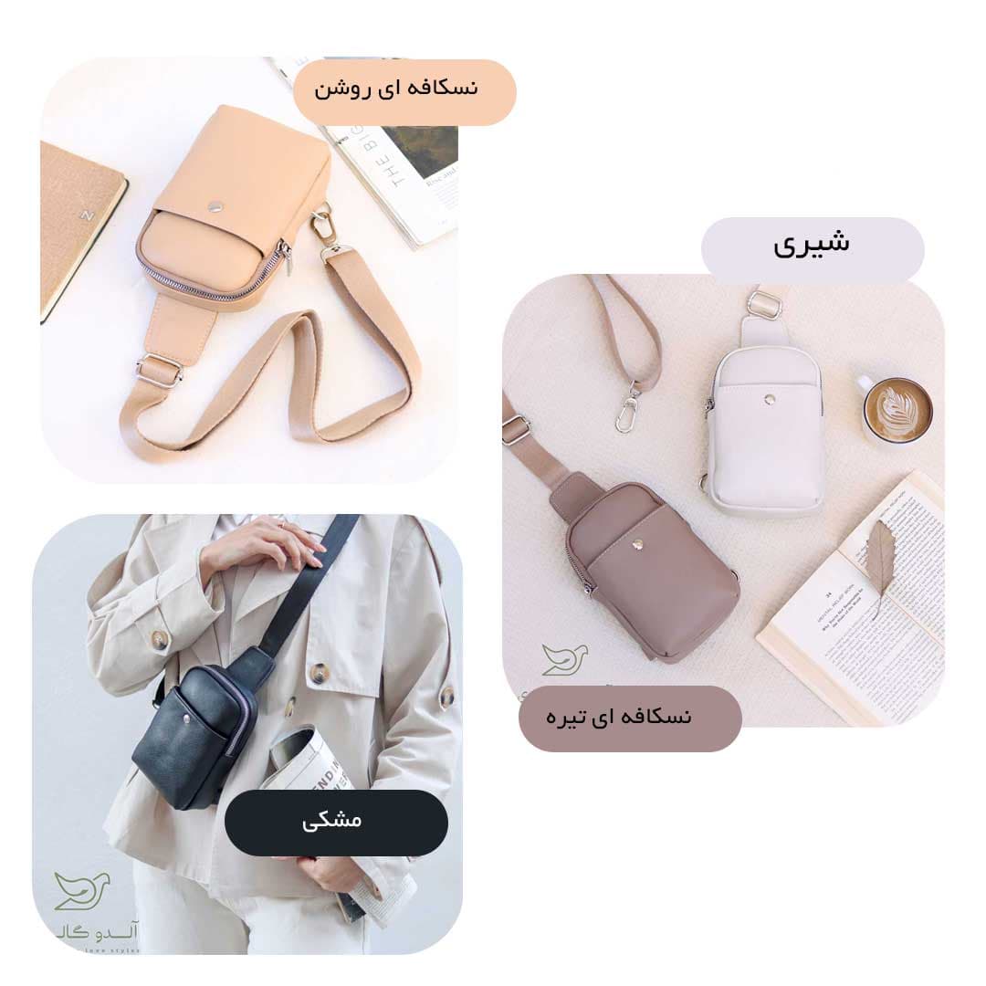 بادی بگ لاوینا — تصویر ۲