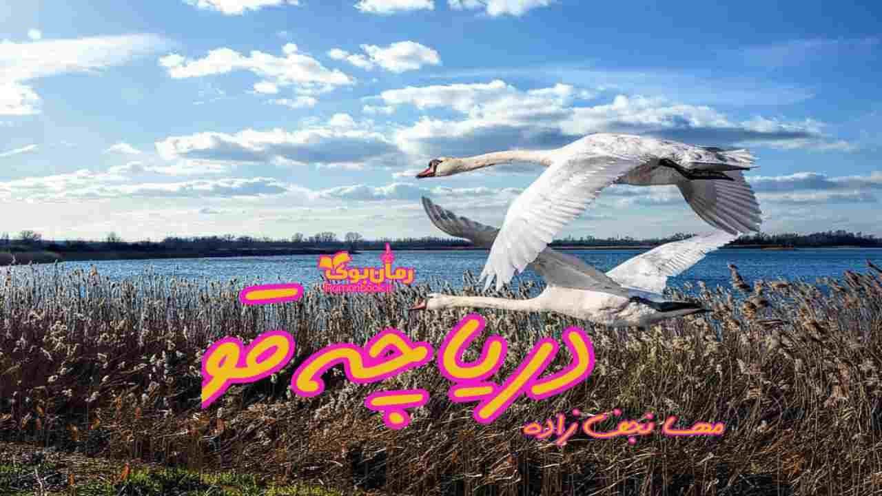 و دانلود نسخه کامل رمان دریاچه قو | رمان عاشقانه | رمان بزرگسال | رمان اجتماعی