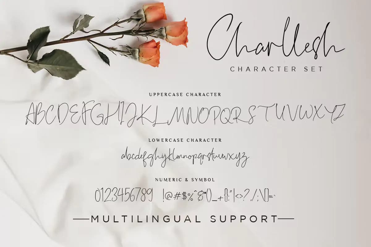 فونت امضا Charllesh Classy — تصویر ۶