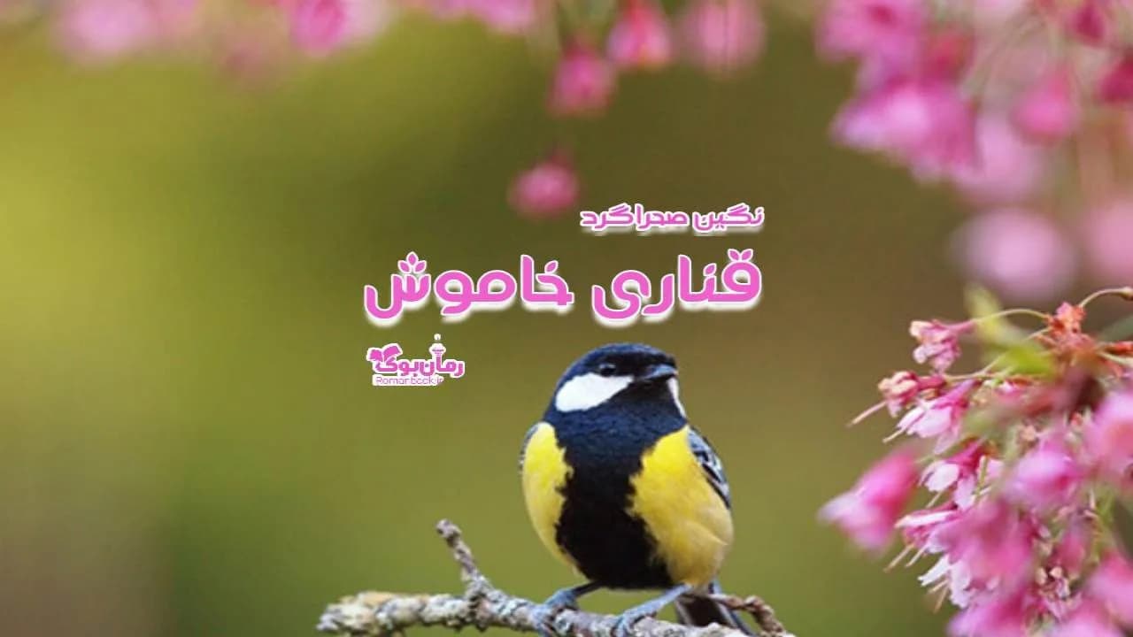 و دانلود نسخه کامل رمان قناری خاموش | رمان عاشقانه | رمان بزرگسال | رمان اجتماعی