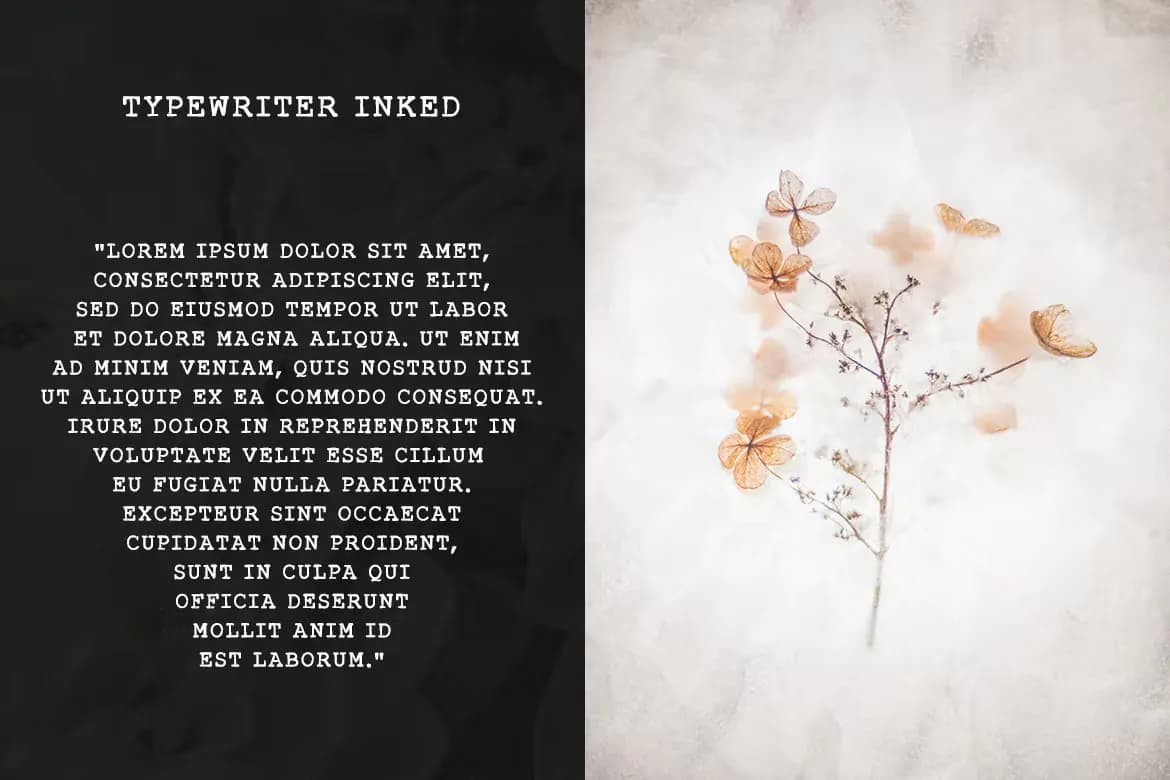 فونت ماشین تحریر Typewriter — تصویر ۸