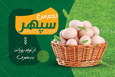 نمونه کارت ویزیت تخم مرغ فروشی — تصویر ۲