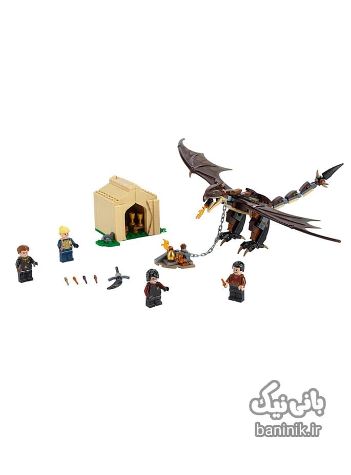 لگو هری پاتر مدل جادوگر و اژدها LEGO 75946 — تصویر ۴