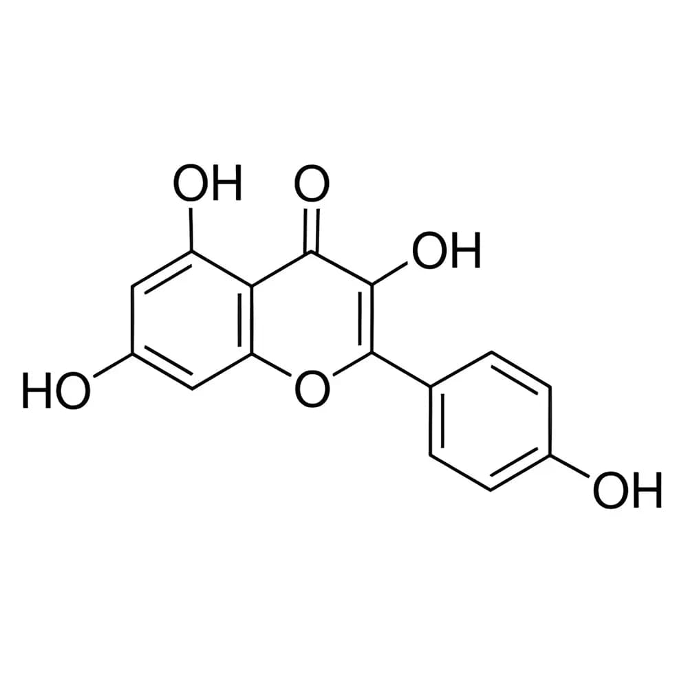 کائمفرول سیگما کد K0133