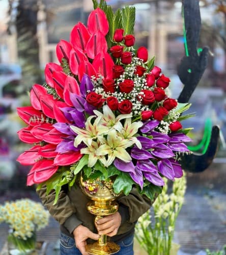 گل و گیاه چیذر 6102