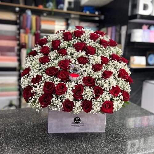 فروشگاه گل و گیاه و گلدان جردن 5976