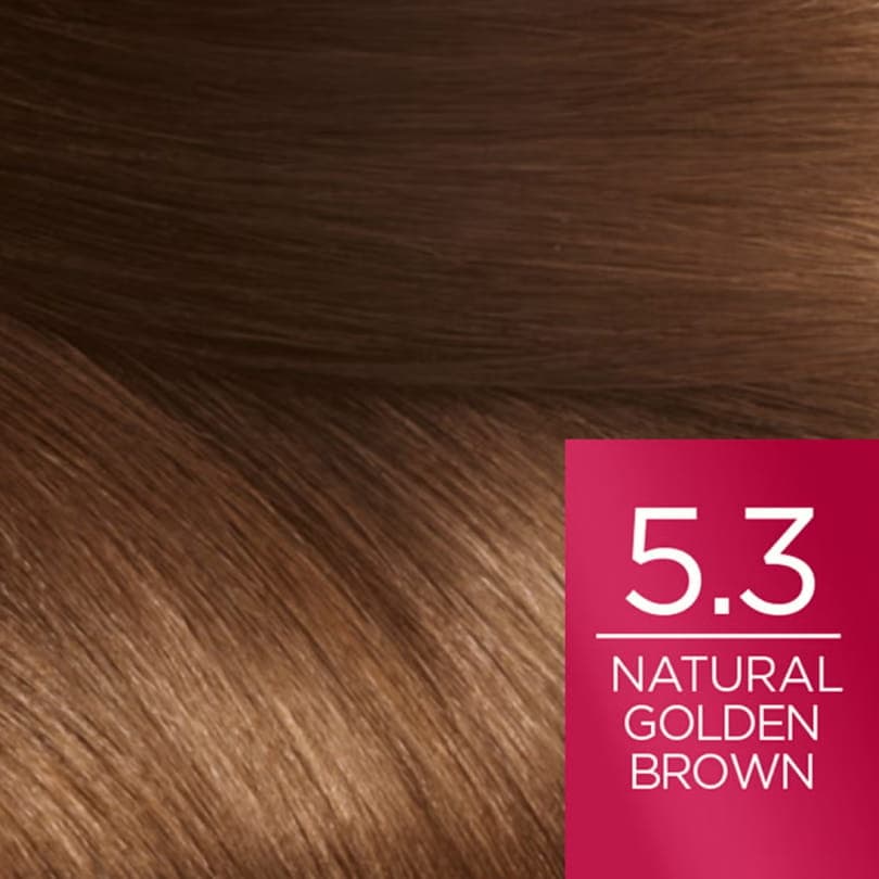 کیت رنگ مو لورال شماره 5.3 Natural Golden Brown سری EXCELLENCE — تصویر ۲