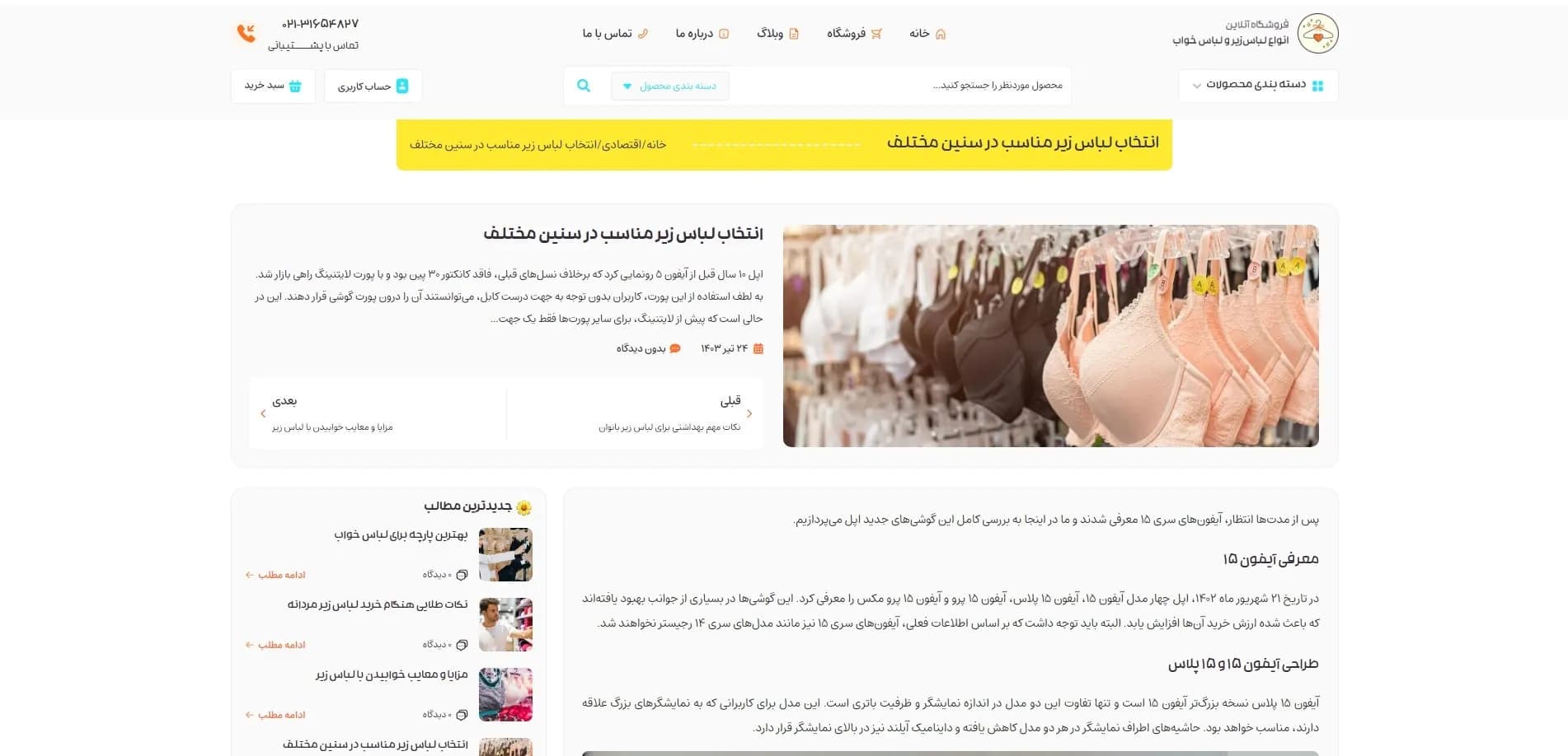 طراحی سایت فروشگاه لباس زیر — تصویر ۲