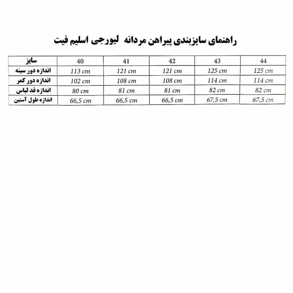 پیراهن مردانه لیورجی آلمان اسلیم فیت رنگ آبی 372654 Livergy — تصویر ۴