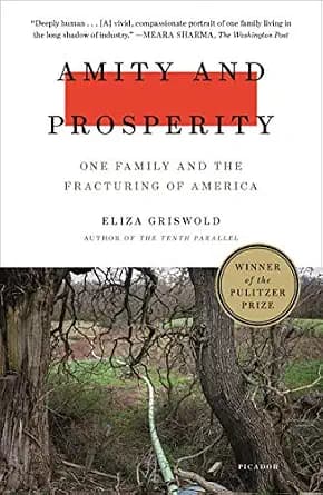 و دانلود نسخه کامل کتاب زبان اصلی Amity and Prosperity: One Family and the Fracturing of America PDF | دانلود کتاب خارجی
