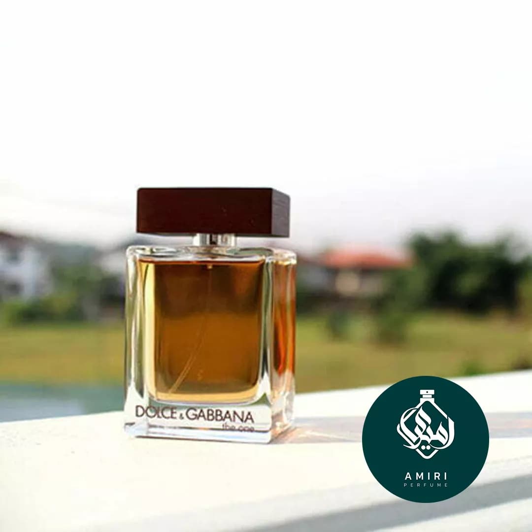 عطر ادکلن دی اند جی دلچه گابانا دوان مردانه | Dolce Gabbana The One for men EDT — تصویر ۴