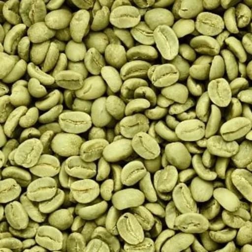 دان سبز ربوستا پی بی PB