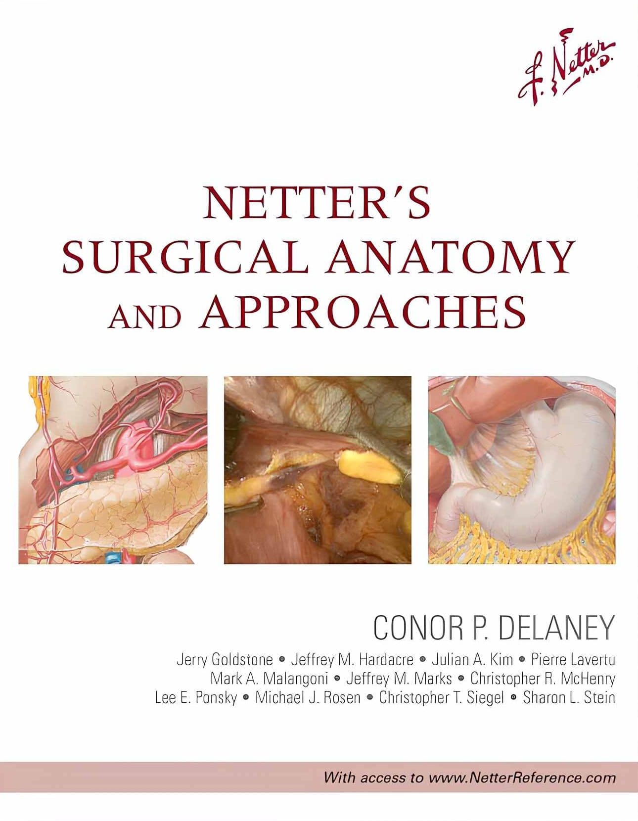 کتاب Netter’s Surgical Anatomy and Approaches (آناتومی جراحی و رویکردهای جراحی نِتِر) نسخه انگلیسی PDF | کانر پی. دلینی