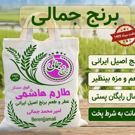 برنج طارم هاشمی فوق ممتاز محلی100کیلو عمده برنج جمالی