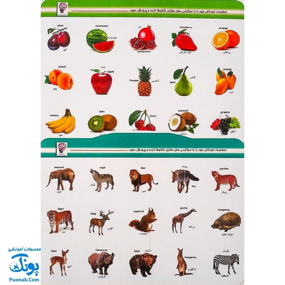 هوش چین مجموعه سه تکه — تصویر ۳