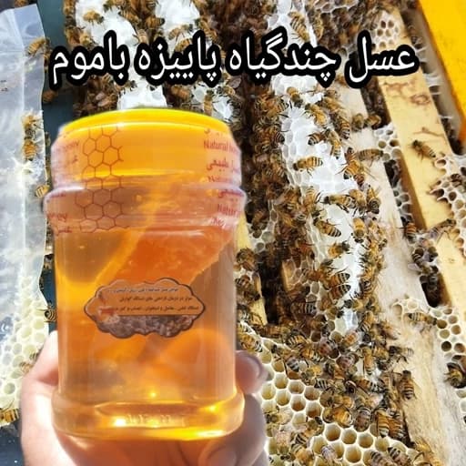 عسل چندگیاه پاییزه فریدن 1کیلویی باموم دشتی اصل(ارسال رایگان با خرید 2م از غرفه)