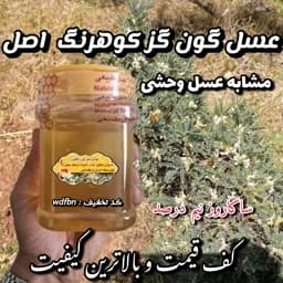 عسل گون گز ارگانیک کوهرنگ اصل 1 کیلویی. کوهی (خرید مستقیم از زنبوردار) ارسال رایگان با 2 میلیون خرید از غرفه — تصویر ۲