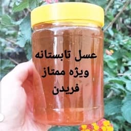 عسل تابستانه ویژه فریدن1کیلویی دشتی اصل(ارسال رایگان با خرید 2م از غرفه) — تصویر ۲