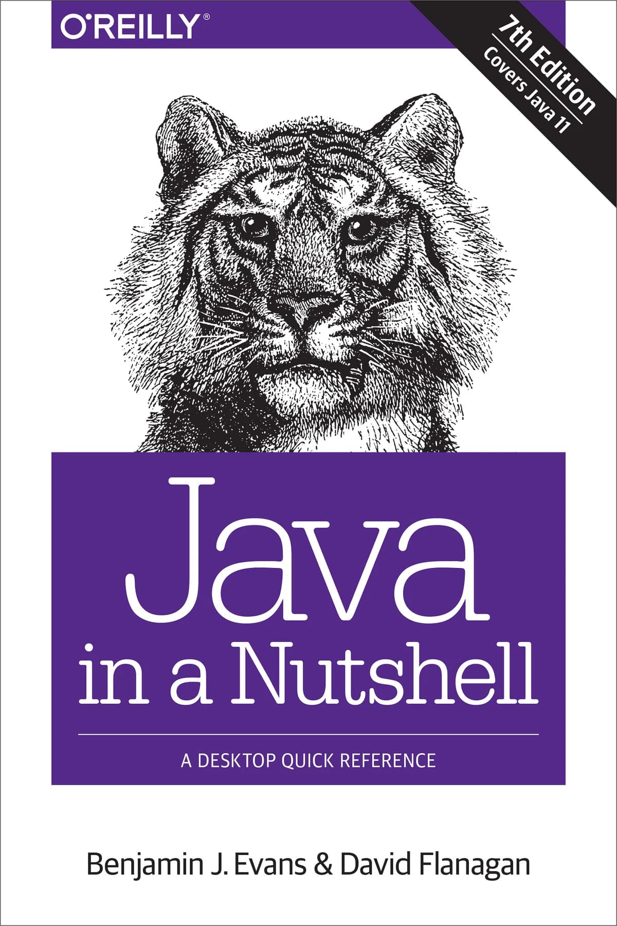 کتاب Java in a Nutshell — تصویر ۲