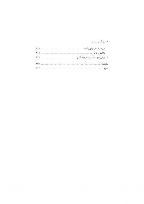 کتاب یونگ و سیاست — تصویر ۳