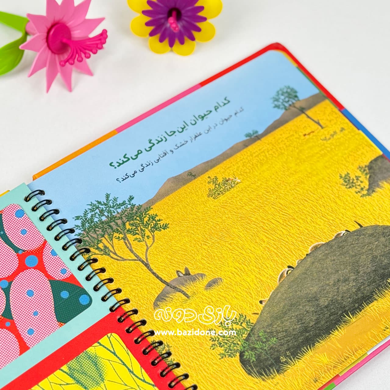 کدام حیوان کجا زندگی می‌کند ؟ — تصویر ۳