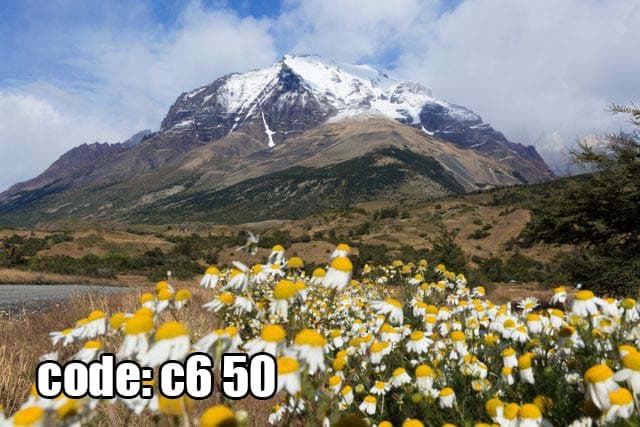پوستر دیواری منظره کوهستان و گل‌های بابونه | آرامش ناب طبیعت