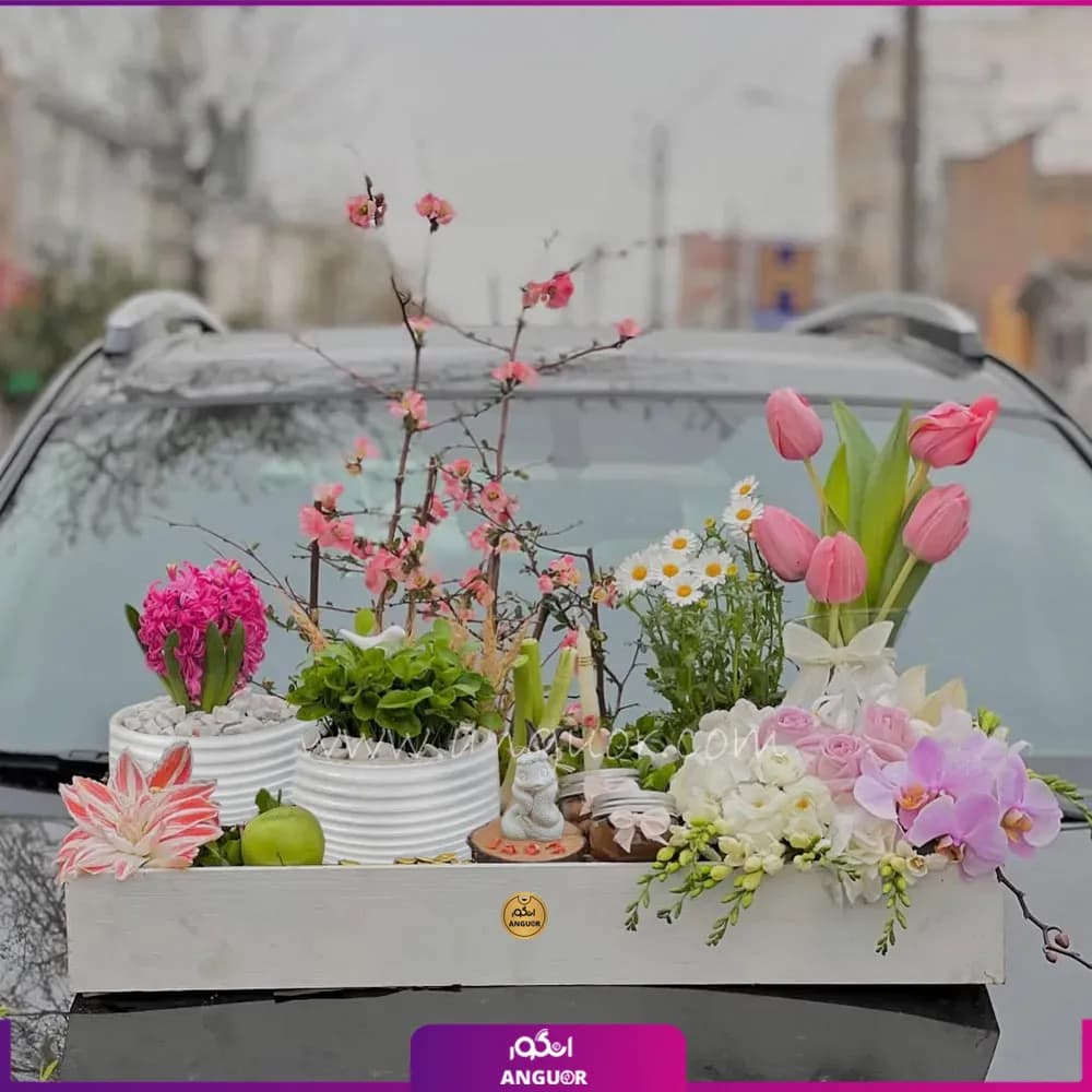 نوروز در باکس سفید (گل لاله،سنبل،سبزه)