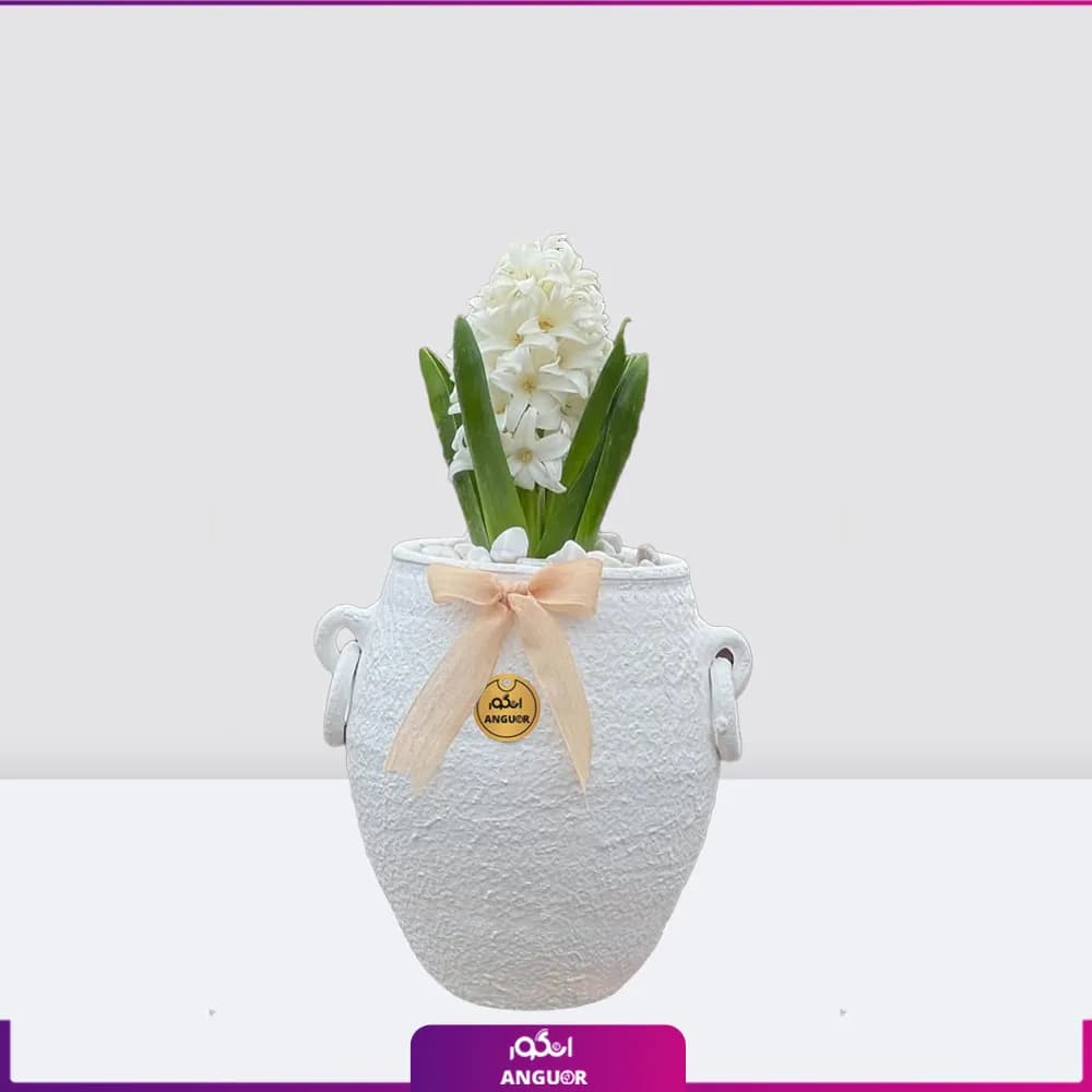 گل سنبل با گلدان پتینه سفید