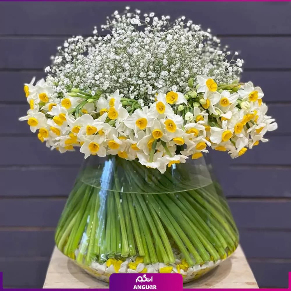 جار گل لبخند نرگس