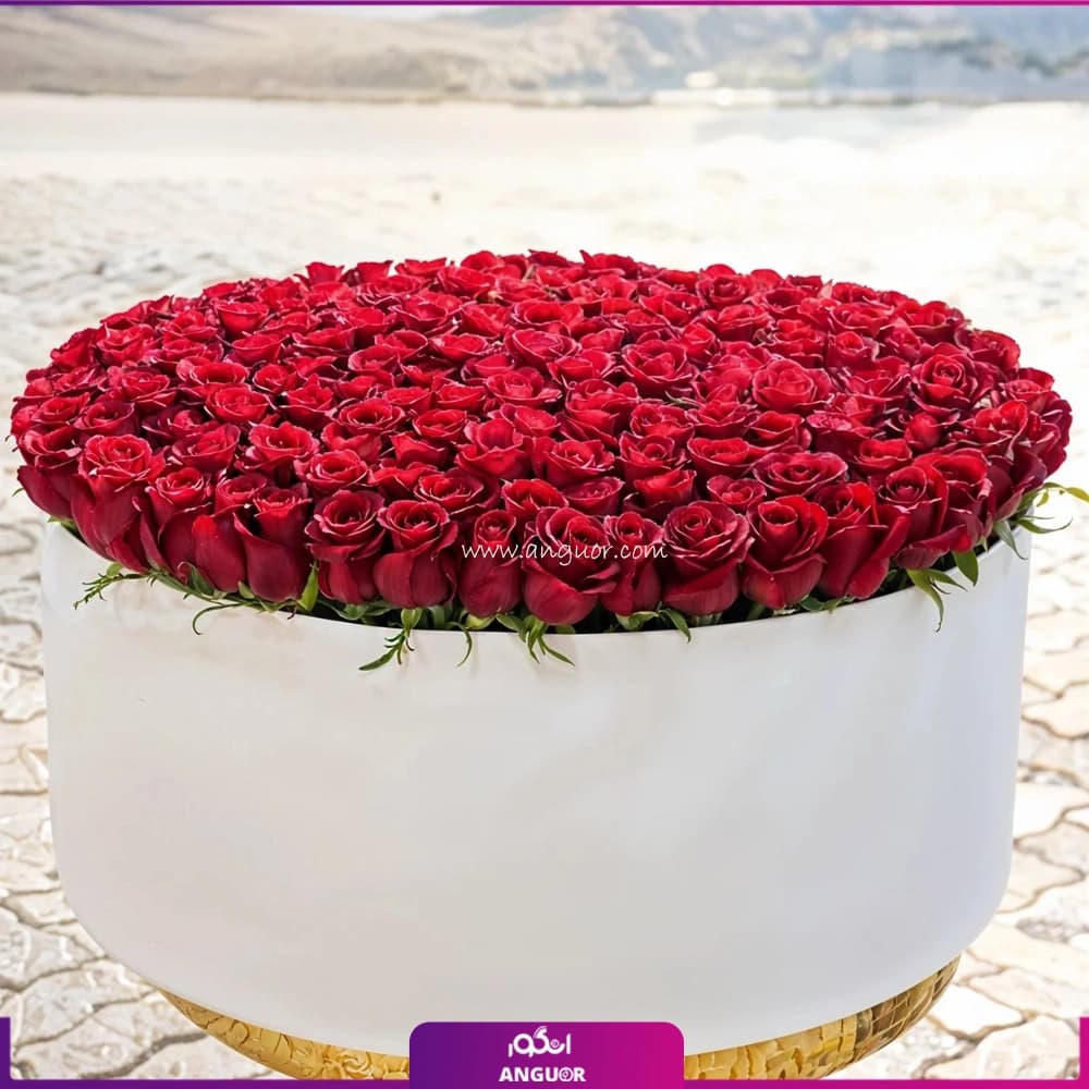باکس گل رز 300 ضربان عشق