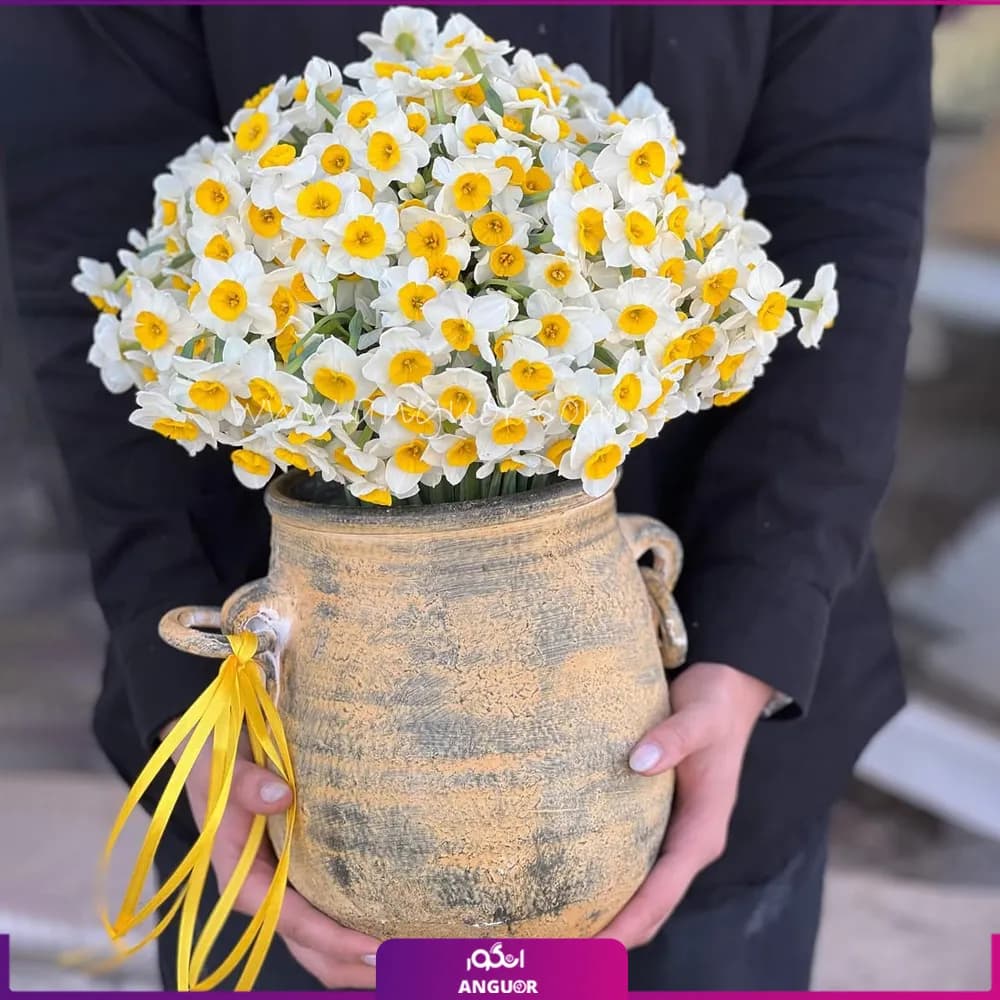 دسته گل نرگس 80 شاخه‌ای با گلدان
