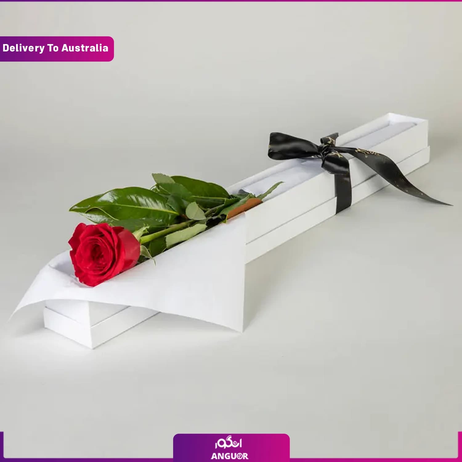 باکس گل رز تک شاخه (تحویل در استرالیا)