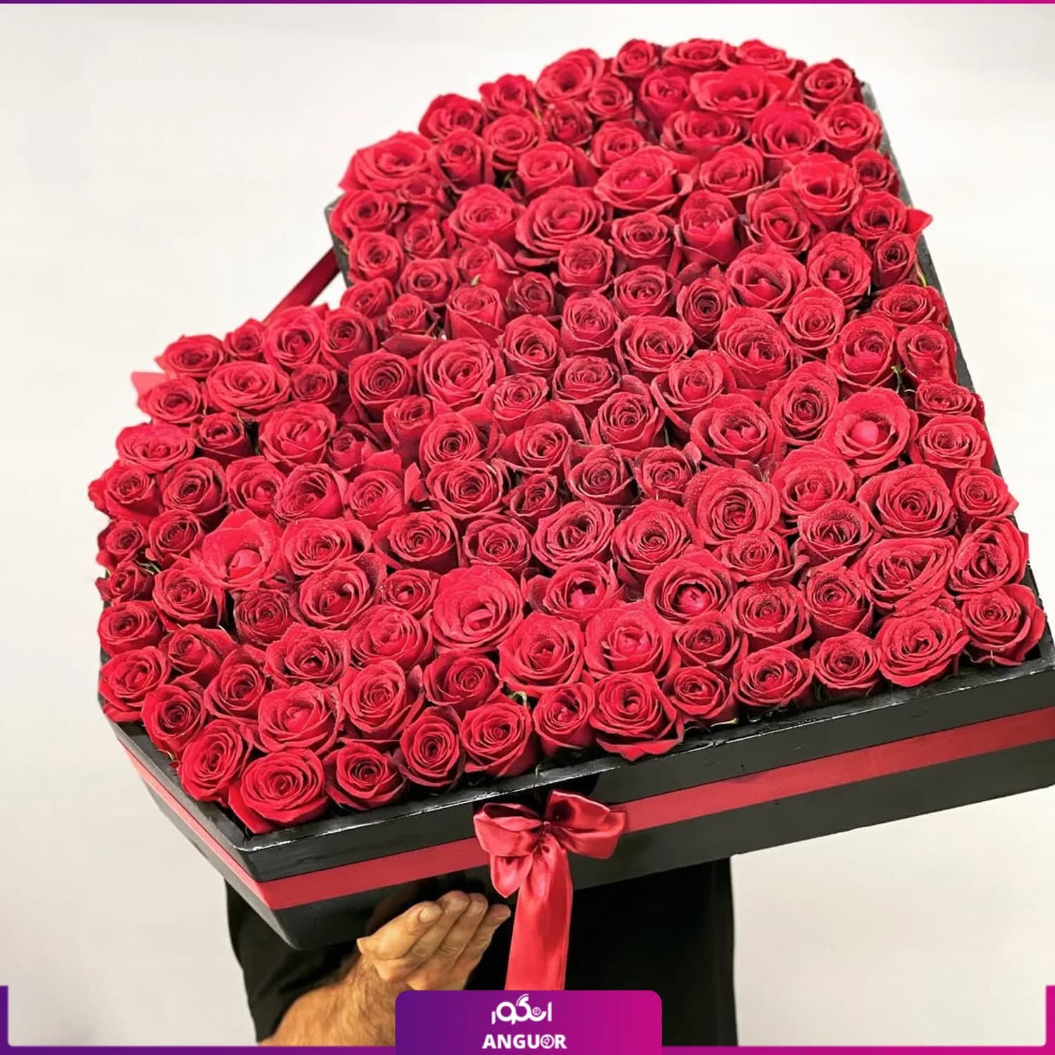 140 شاخه گل رز در قلب عاشق — تصویر ۲