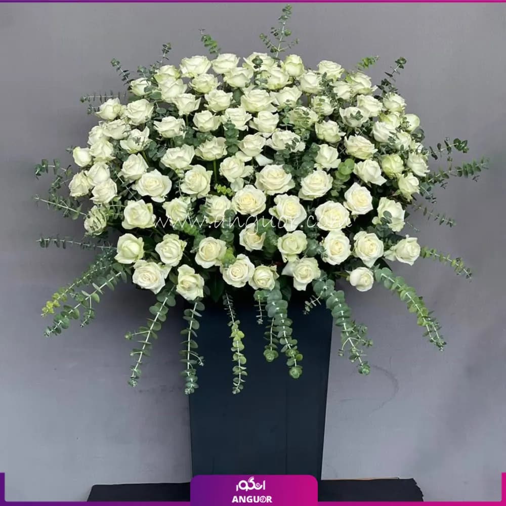 باکس گل 85 شاخه ای رز سفید