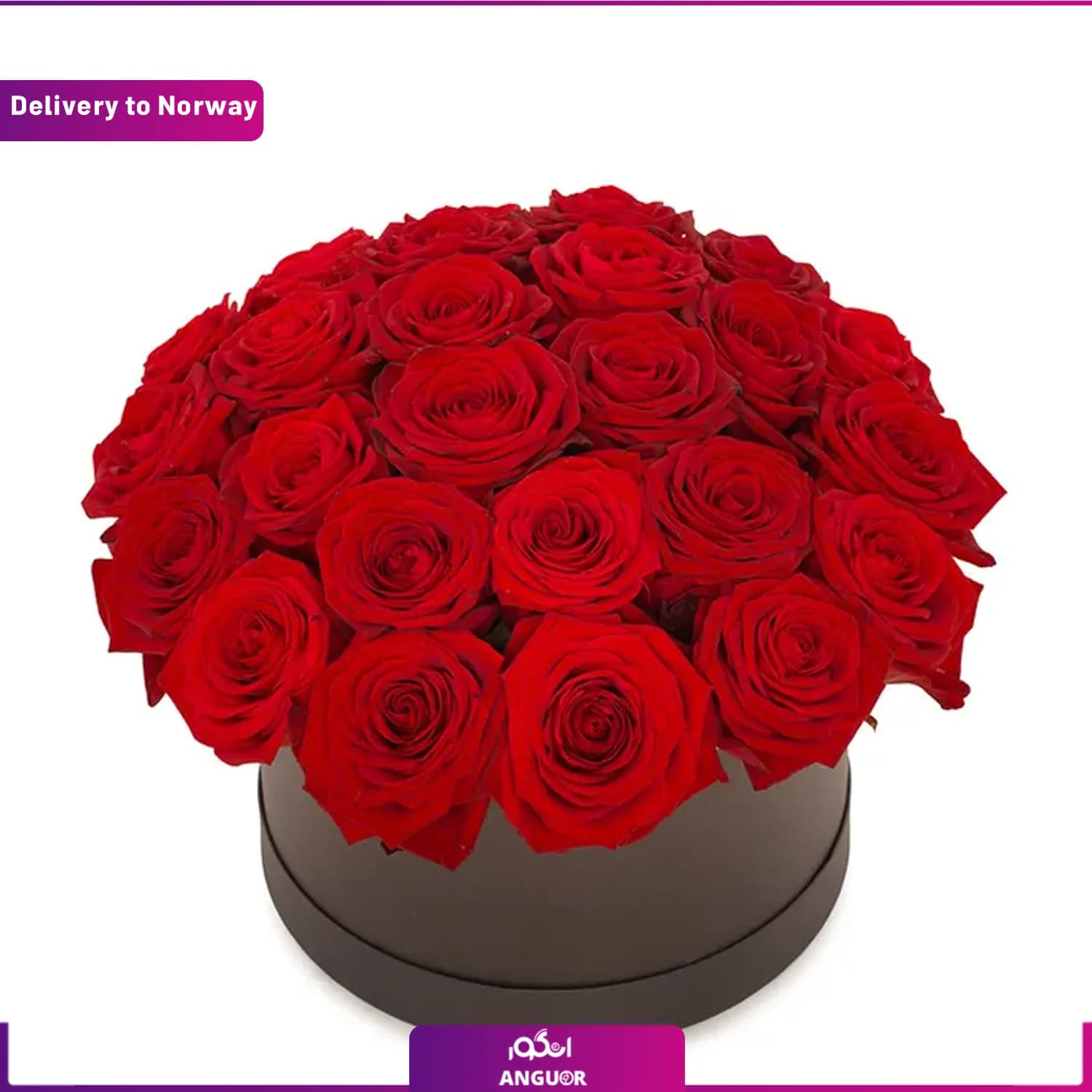 باکس گل رز لوکس (تحویل در نروژ)