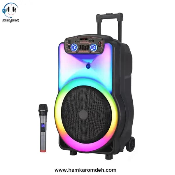 اسپیکر چمدانی NDR Y12 — تصویر ۲