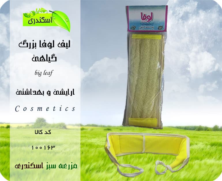 لیف لوفا گیاهی بزرگ