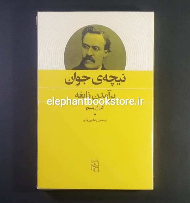کتاب نیچه جوان (برآمدن نابغه) اثر کارل پلیچ