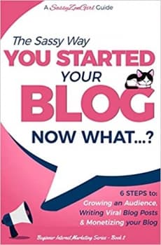 کتاب You Started Your Blog – Now What…? (Beginner Internet Marketing Series)