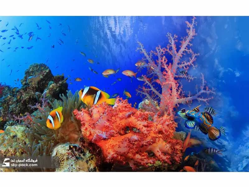 آسمان مجازی طرح دنیای زیر آب — تصویر ۳