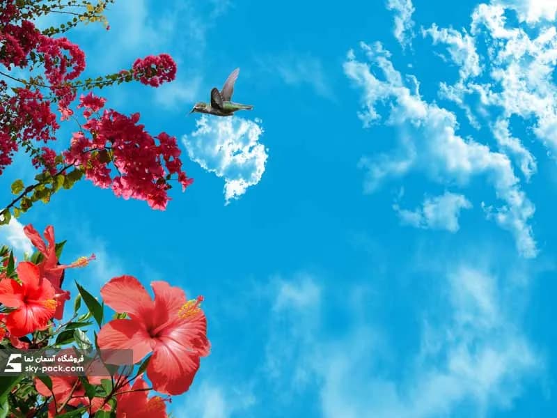 آسمان مجازی طرح گلهای کاغذی و مرغ مگس خوار — تصویر ۲