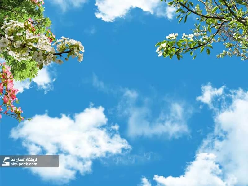 آسمان مجازی طرح گلها — تصویر ۲