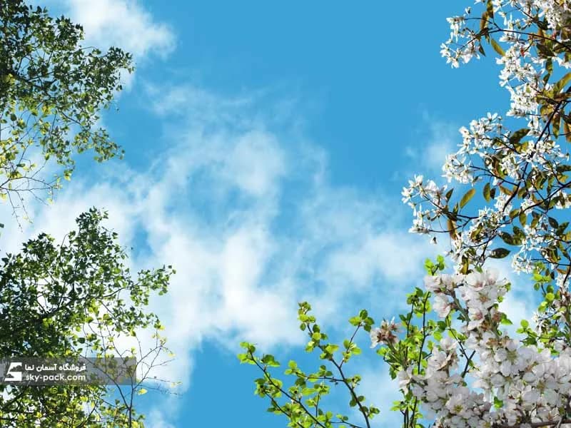 آسمان مجازی طرح آسمان و درختان بهاری