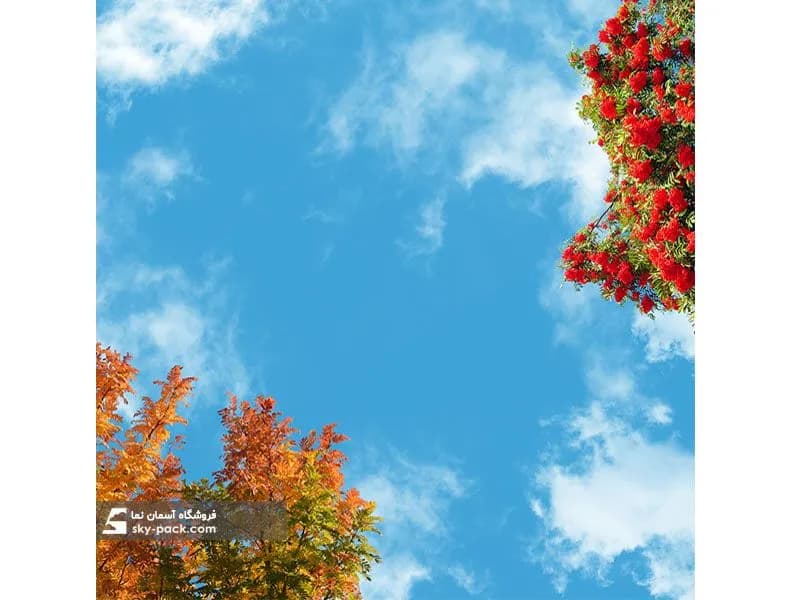 آسمان مجازی طرح پاییز رنگارنگ — تصویر ۲